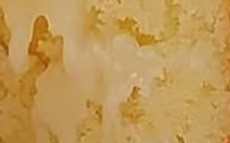 CakeMillion Dollar Pound Cake