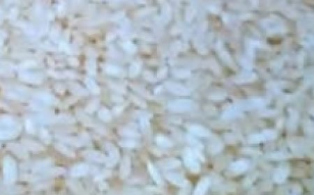 Just Mix Rice and Yeast! My Grandmother Told Me This Secret!