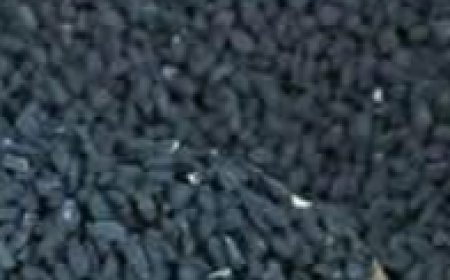 Unveiling the Healing Power of Nigella Sativa: A Miracle Seed for Various Ailments