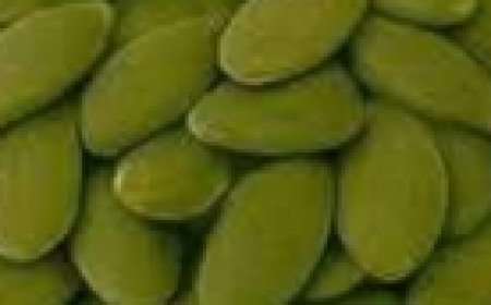 Pumpkin Seeds: A Natural Remedy for Bladder and Prostate Health