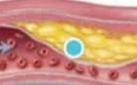 8 Benefits and Uses of Thyme