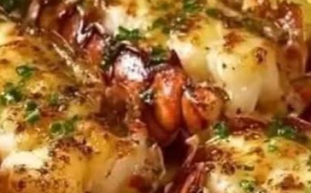 Cajun lobster, crab and salmon alfredobs