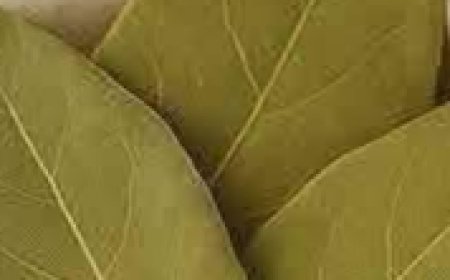 DIY Bay Leaf Skin Treatment