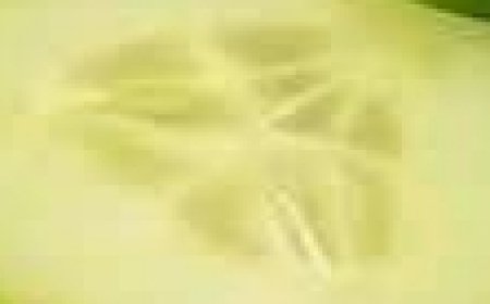 The Cooling Power of Cucumbers: A Natural Approach to Reducing Wrinkles