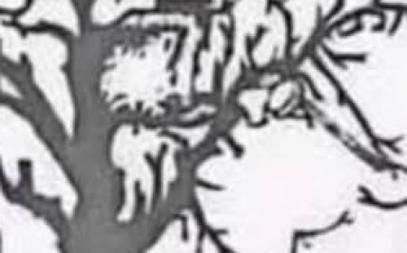 Only a few people can find all the faces hidden in this tree – are you one of them?