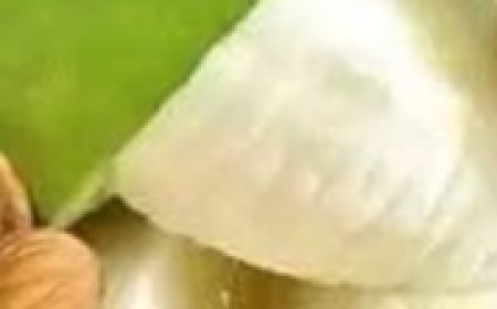 ALMOND ,BANANA, AVOCADO, MILK