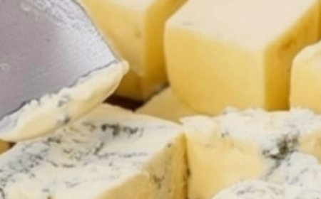 Homemade Cheese Recipe