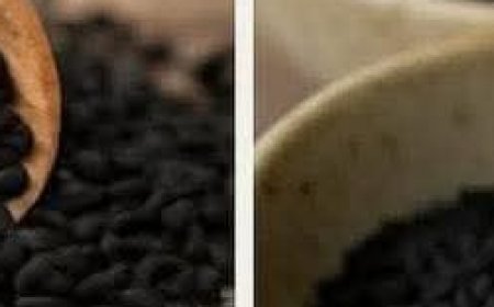 Black Cumin: The Secret Seed for Your Well-being