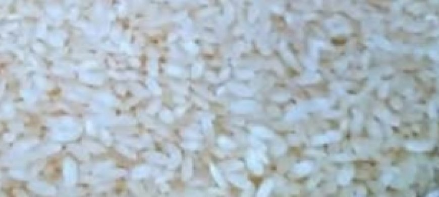 Just Mix Rice and Yeast! My Grandmother Told Me This Secret!