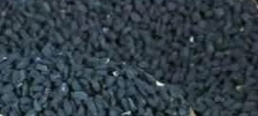 Unveiling the Healing Power of Nigella Sativa: A Miracle Seed for Various Ailments