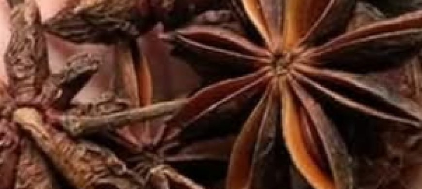 Star Anise: The Spice for Better Digestion, Clearer Breathing, and Stronger Immunity