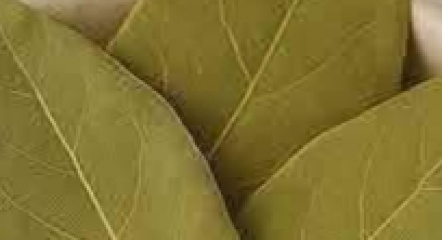 DIY Bay Leaf Skin Treatment