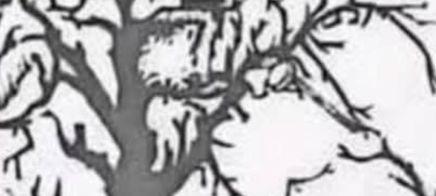 Only a few people can find all the faces hidden in this tree – are you one of them?