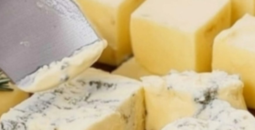 Homemade Cheese Recipe