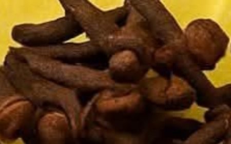 Lemon and Cloves – A Powerful Combo They Don’t Want You to Know About