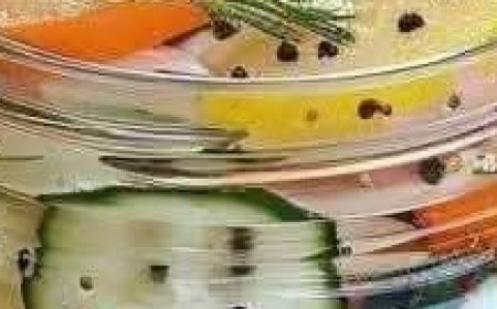 Refreshing Summer Salad with Tomatoes, Cucumbers and Onions