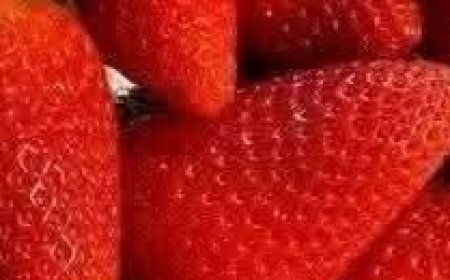 How to Keep Strawberries Fresh Longer: 7 Expert Tips to Prevent Mold and Spoilage