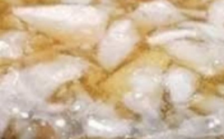 The Benefits of Eating Garlic and Honey on an Empty Stomach