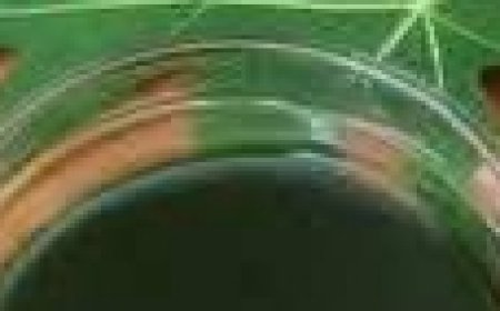 Embrace Papaya Leaves for Youthful Hair!