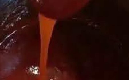 The Hidden Power of Dog Rose (Rosa canina): 10 Surprising Health Benefits and How to Use It