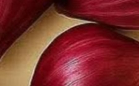 Natural red onion drink to treat inflammation and strengthen the body