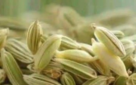 Fennel seed drink to burn fat and cleanse the body