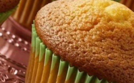 Fluffy Castella Sponge Cake