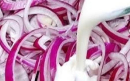 Onion Milk: Ancient Elixir That Heals From Within