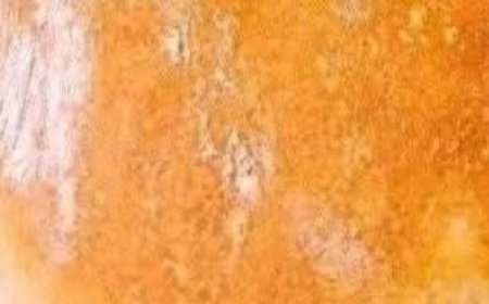 Brilliant No-Knead Bread Recipe