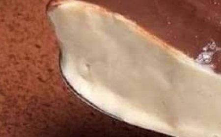 Layered Vanilla and Chocolate Custard Dessert