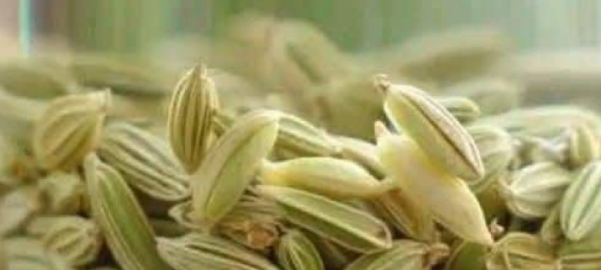 Fennel seed drink to burn fat and cleanse the body