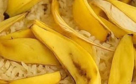 Mix Banana Peels with Rice — The Secret No One Will Ever Tell You