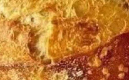 Classic Homemade Bread: Simple, Soft, and Delicious