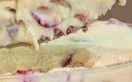 Layered Dessert With Cream, Biscuits And Fruits