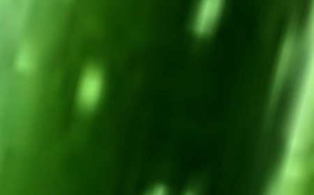 12 Amazing Ways Aloe Vera Can Boost Your Health and Well-being