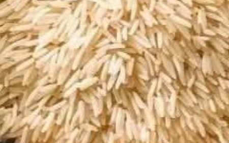 Heavenly Slow Cooker Rice Recipe