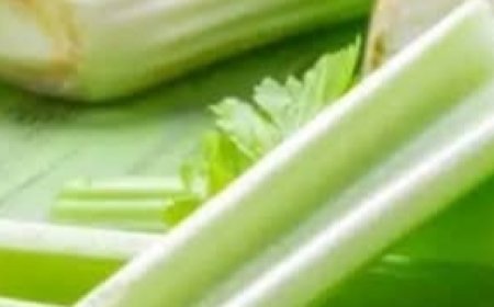 When You Eat Celery Every Day for a Week, Your Body Might Get These 14 Health Benefits