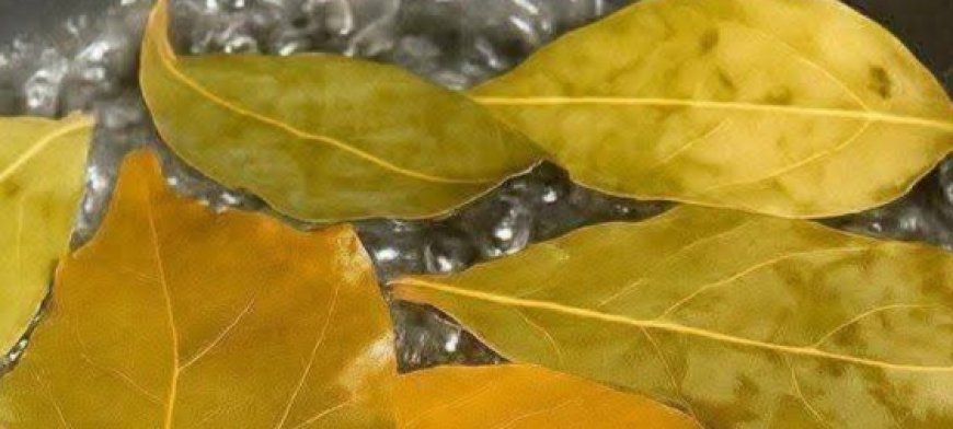 Banish Flies, Mosquitoes, and Cockroaches with These Simple Natural Remedies