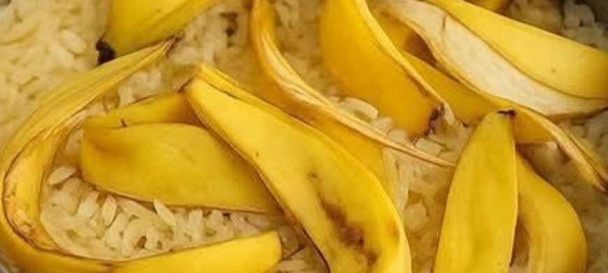 Mix Banana Peels with Rice — The Secret No One Will Ever Tell You
