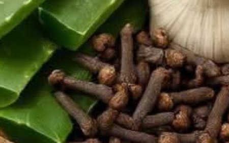 Aloe Vera, Cloves, and Garlic for Intestinal Health: Unlock the Power of Nature’s Gut-Healing Trio