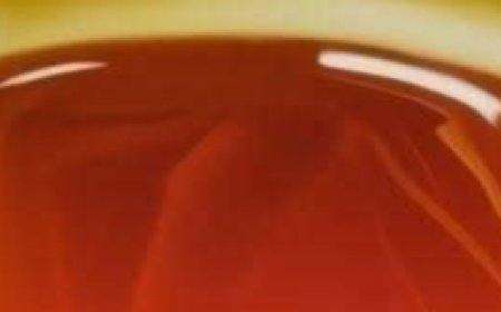 Lose 10 Pounds in 10 Days – Get a Flatter Stomach Safely