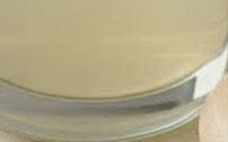 Boosting Immunity with Garlic Water