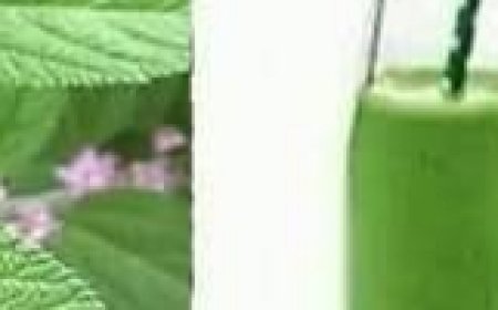 Just One Leaf of This Plant Is Worth a Gold Mine: Euphorbia Hirta