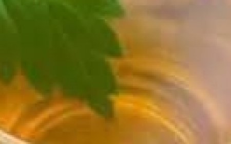 The Powerful Plant That May Support Cancer Treatment: A Closer Look at the Benefits of the Greater Burdock Root