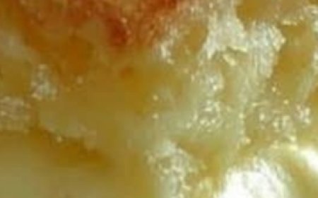 Vanilla Custard Cream Squares – A Timeless Dessert Delight