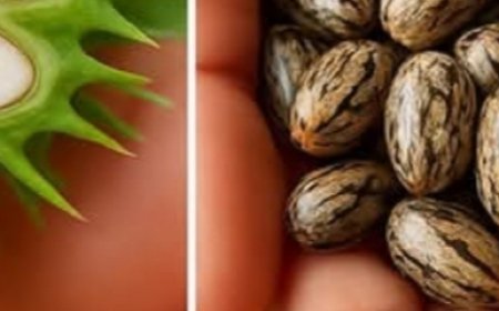 Unlock the Power of Castor Oil: Gentle Support for Skin, Hair, and Wellness in Just 7 Days