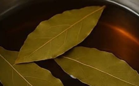 Bay Leaves for Gray Hair? Here’s What You Haven’t Heard Yet