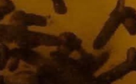 Add Cloves into Baby Oil and See What Happens – 11 Powerful Reasons to Use It Every Day