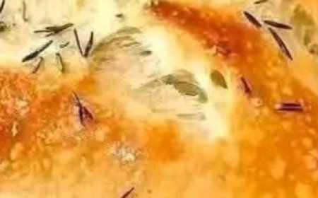 The Bread That Drives Everyone Crazy: No-Knead Garlic Bread Recipe