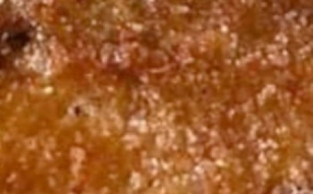 WORLD’S BEST RECIPE FOR FRIED GREEN